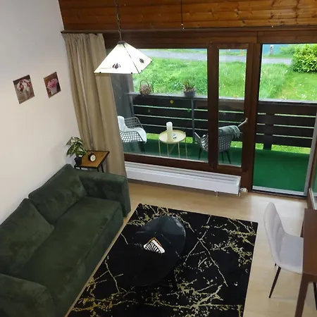 Aare Studio15 Apartment Interlaken