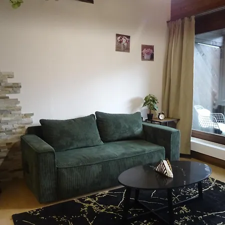 公寓 Aare Studio15 *